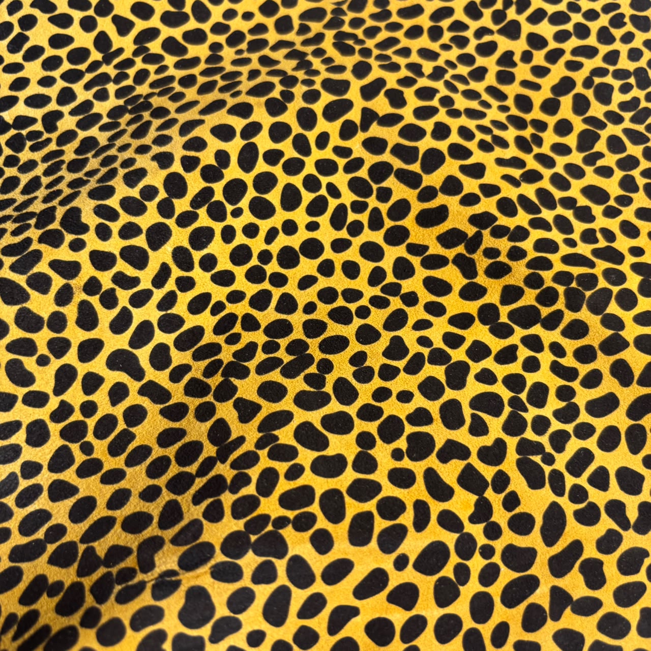 DUNE LEOPARD