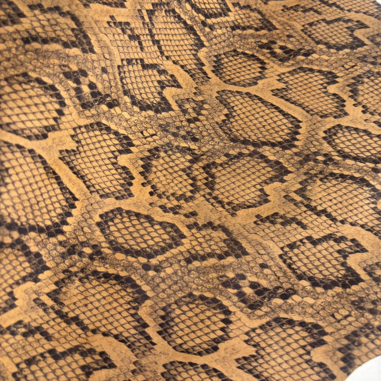 HONEY PYTHON