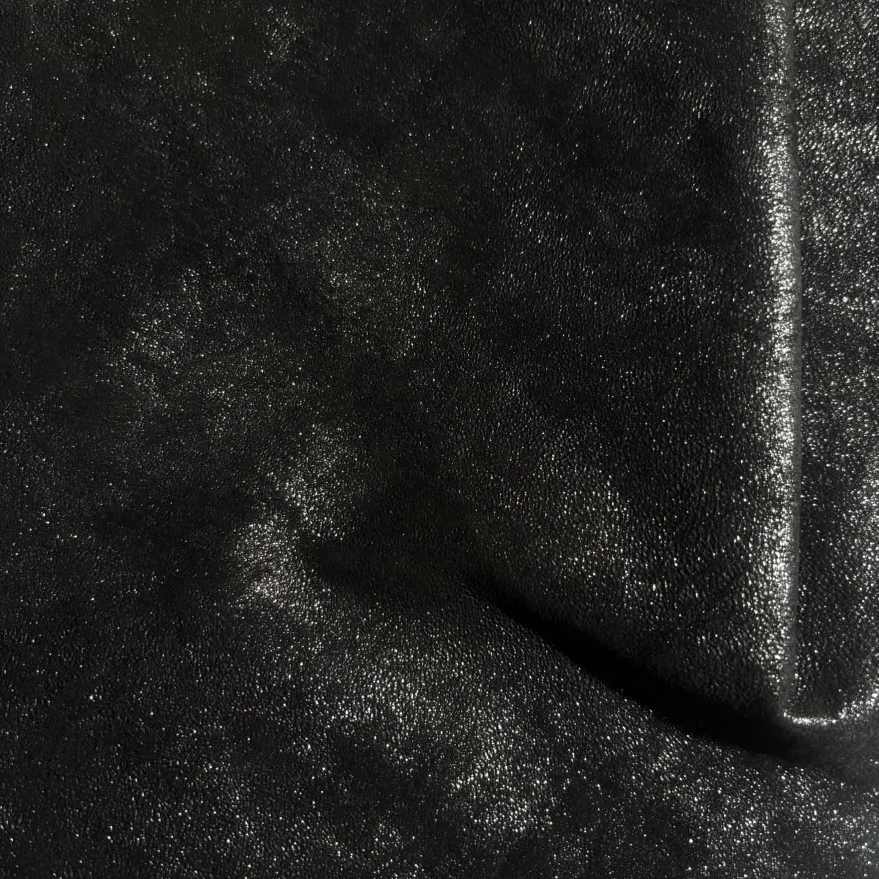 BLACK VELOCITY
