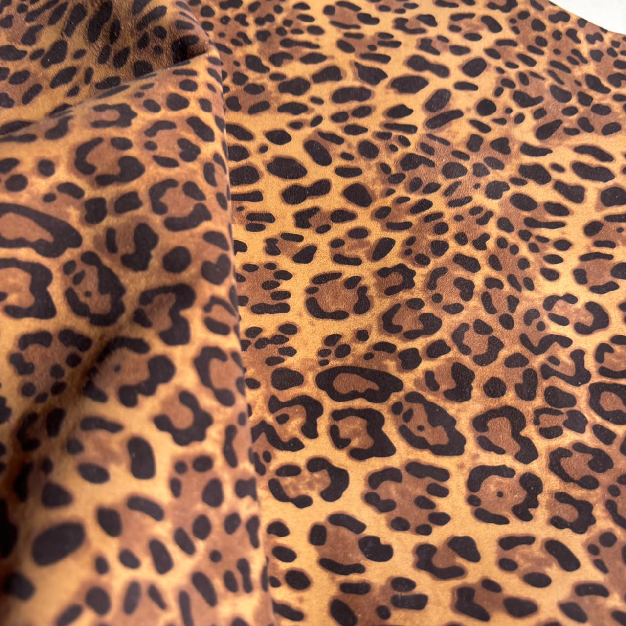SUNSET LEOPARD