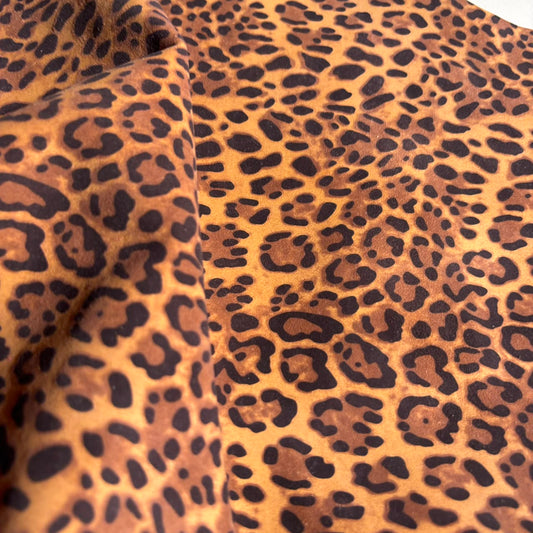SUNSET LEOPARD