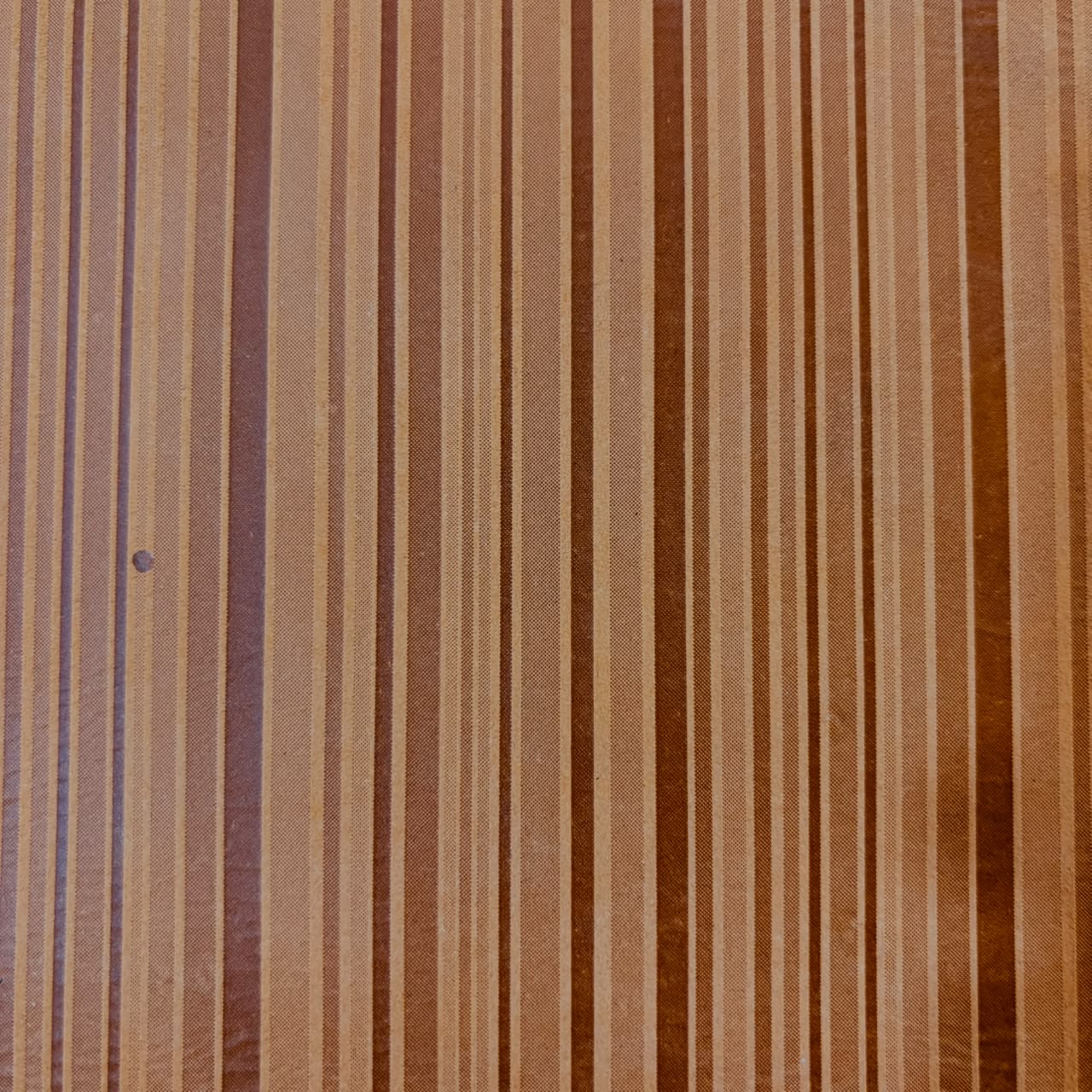 CAMEL STRIPE