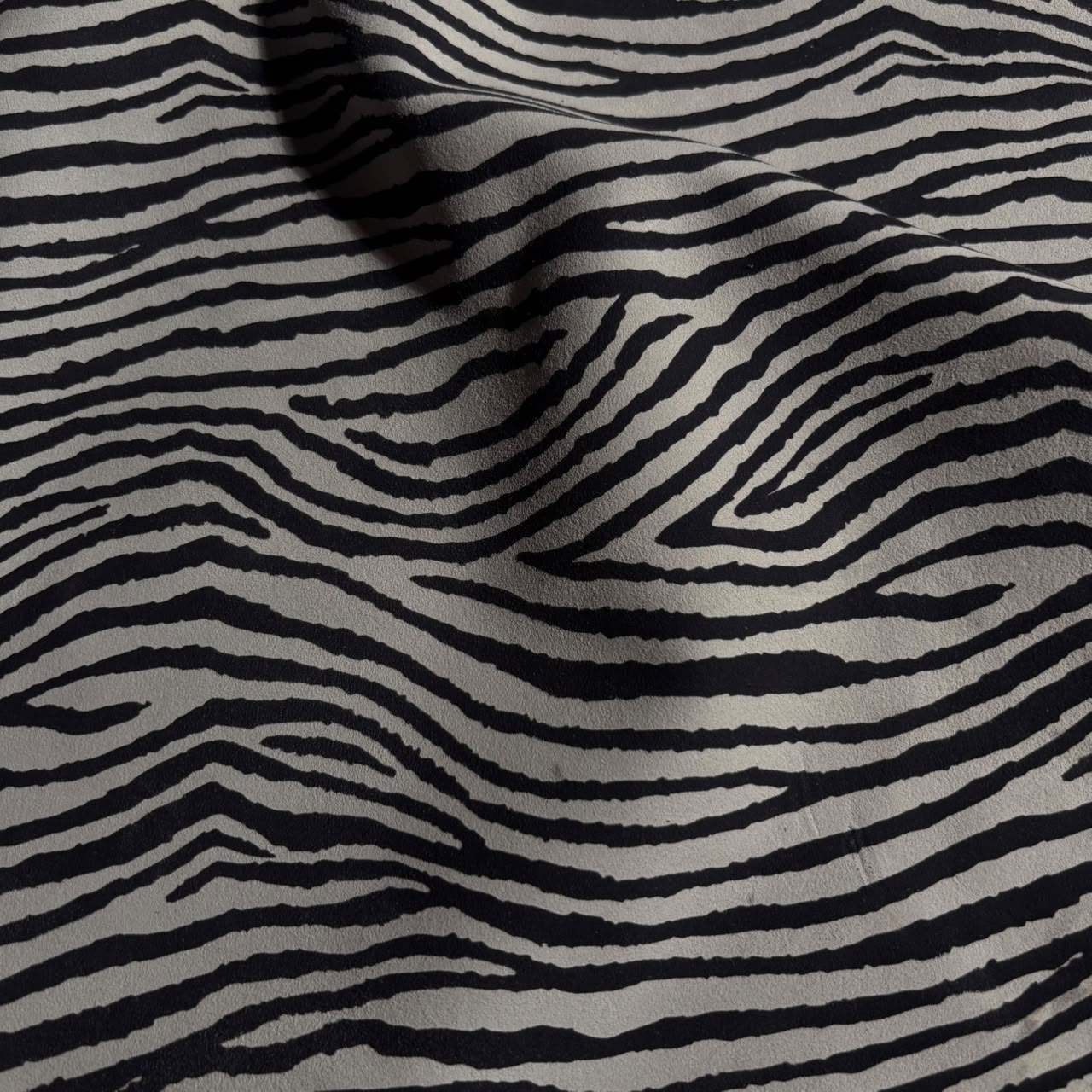 ZEBRA NOIR