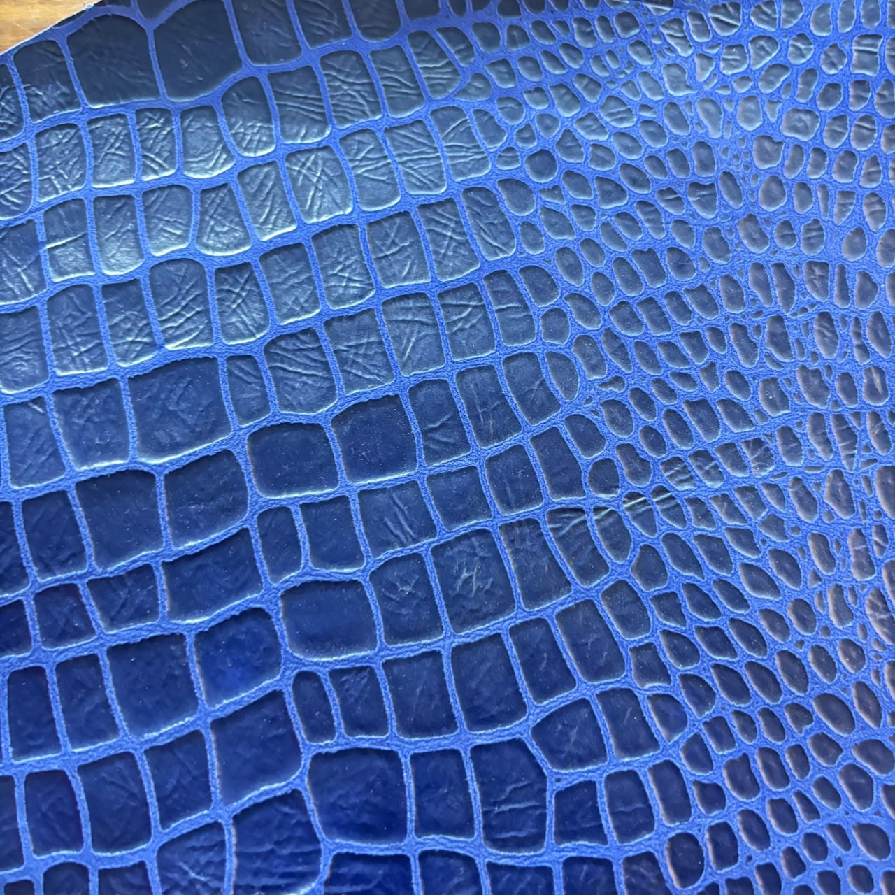 ELECTRIC CROC