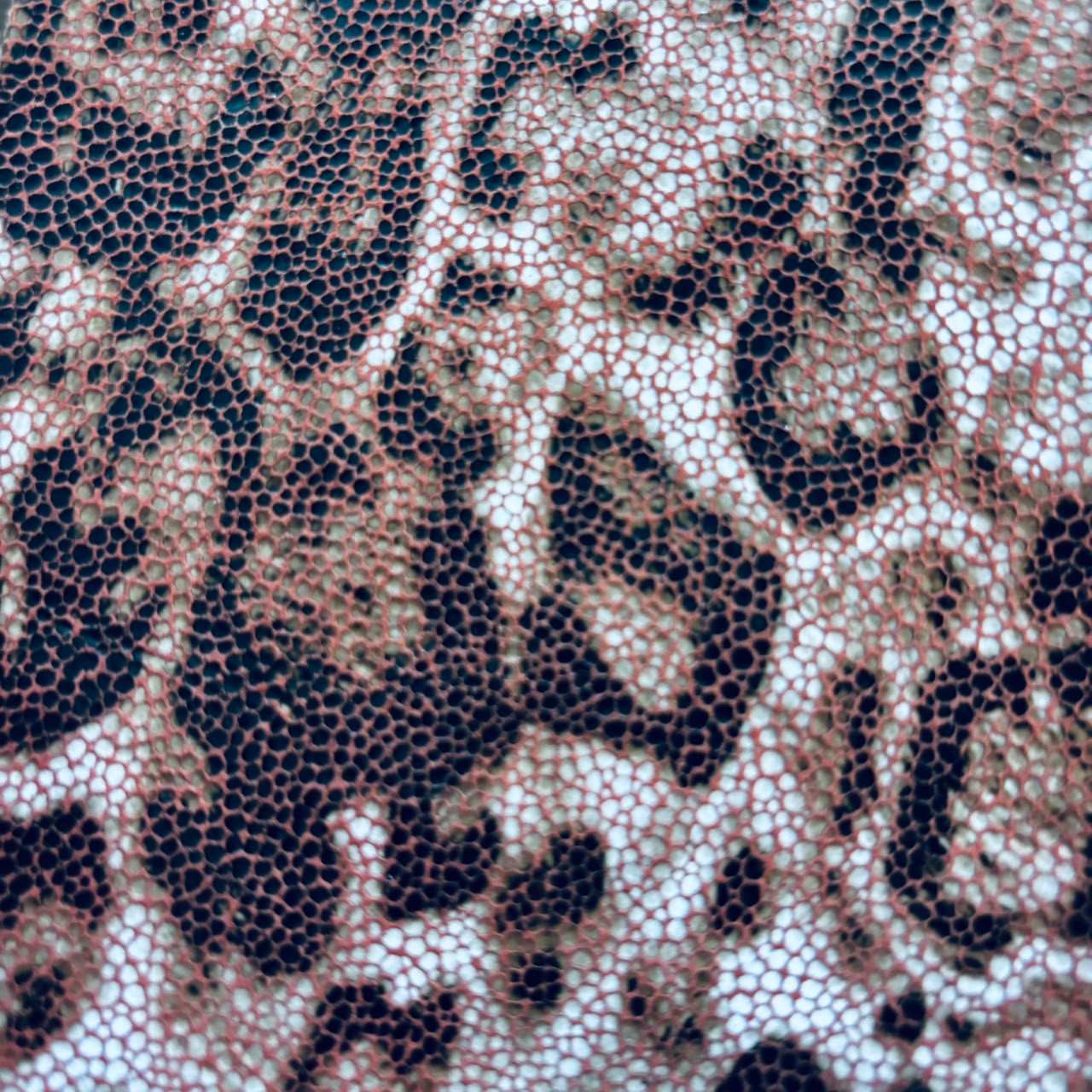 WILD MESH