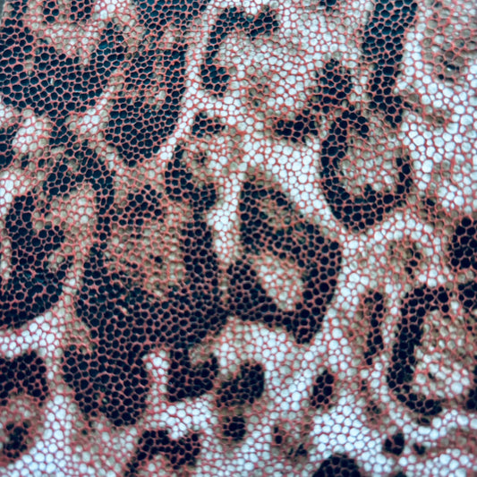 WILD MESH